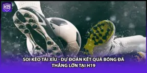 Soi kèo tài xỉu